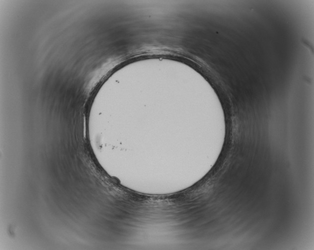 X0000103491269200810241053