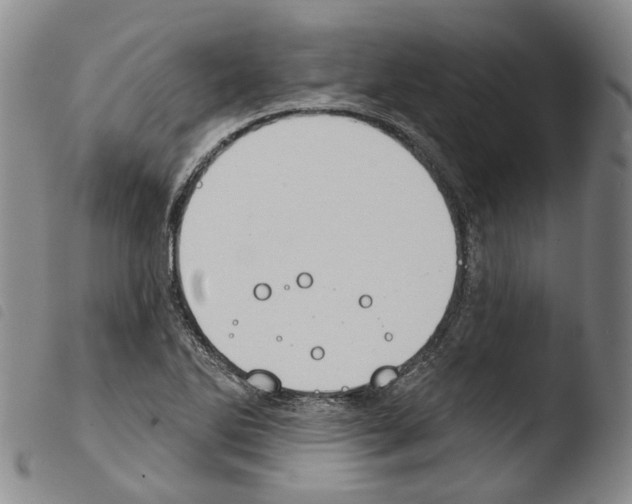 X0000103491270200810241053