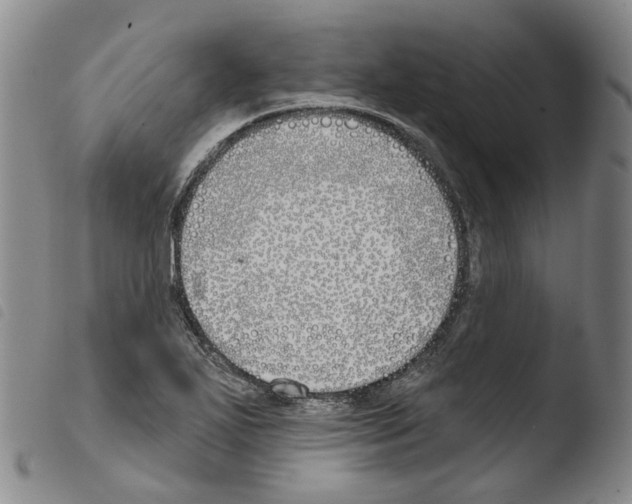 X0000103491271200810241053