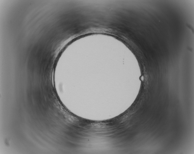 X0000103491272200810241053