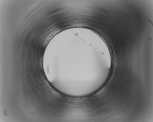 X0000103491273200810241053