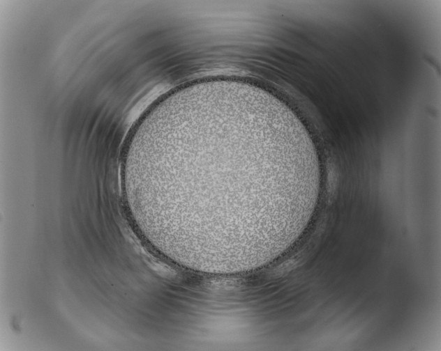 X0000103491274200810241053