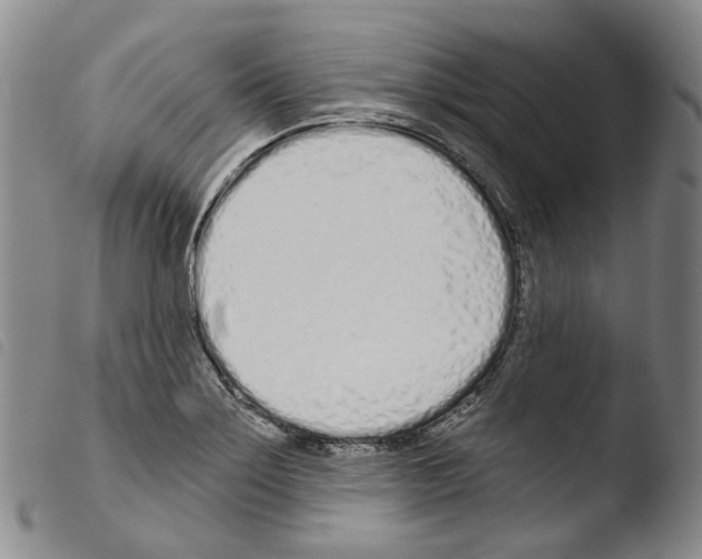 X0000103491275200810241053