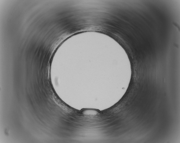 X0000103491276200810241053