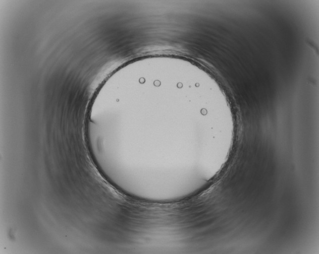 X0000103491277200810241053