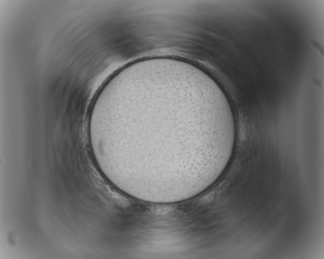 X0000103491278200810241053