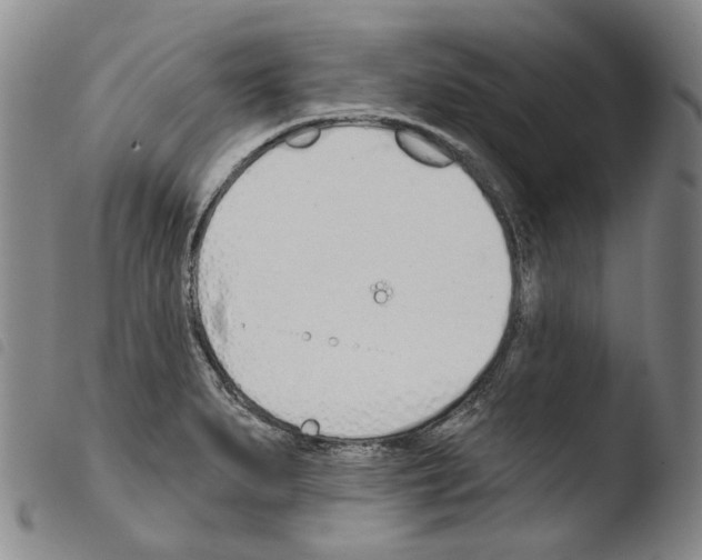 X0000103491279200810241053