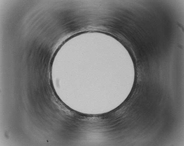 X0000103491280200810241053