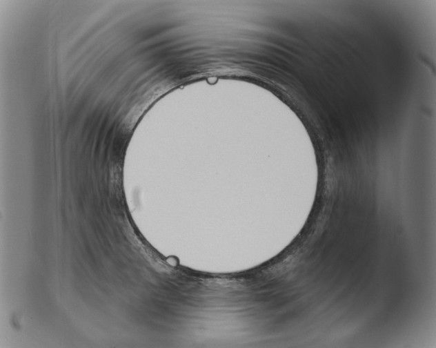 X0000103491281200810241053