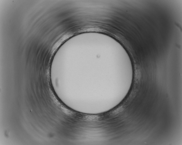 X0000103491282200810241053