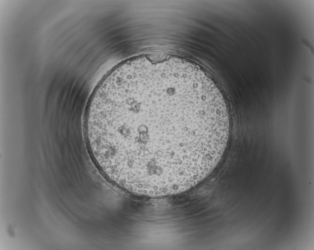 X0000103491283200810241053