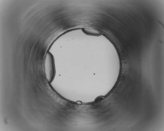 X0000103491284200810241053