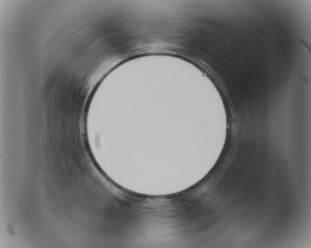 X0000103491285200810241053