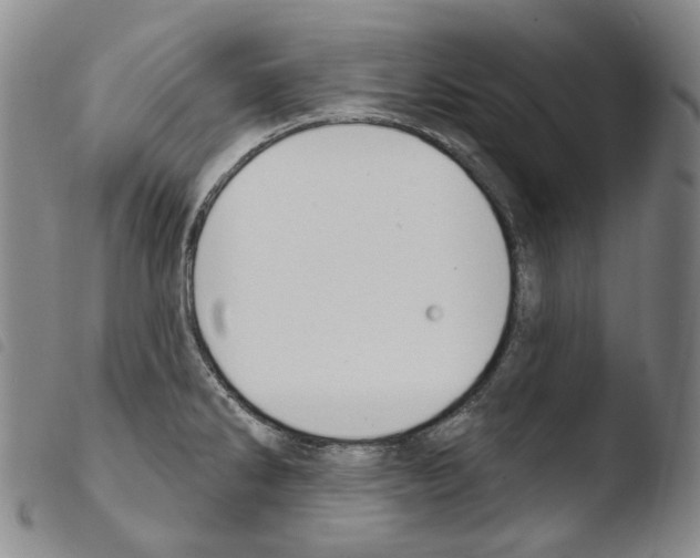 X0000103491286200810241053