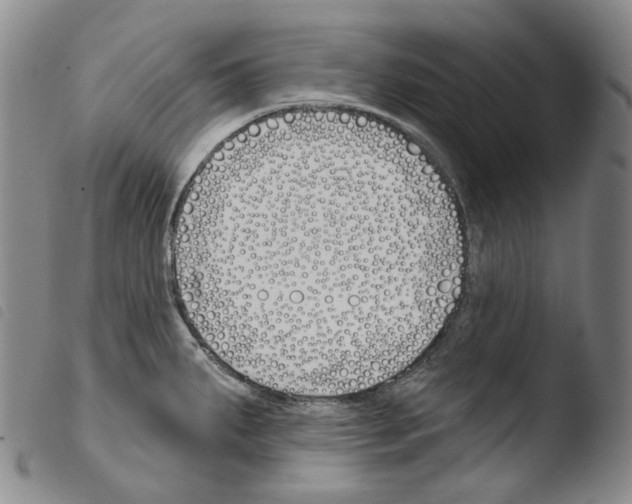 X0000103491287200810241053