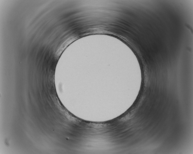 X0000103491289200810241053