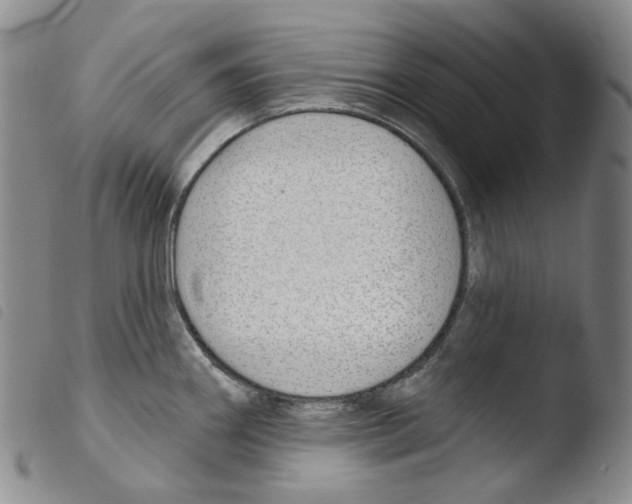 X0000103491290200810241053