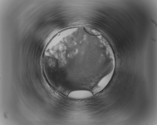 X0000103491291200810241053