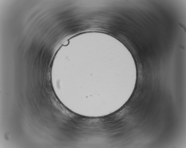 X0000103491292200810241053