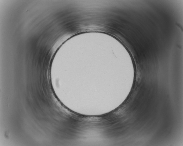 X0000103491293200810241053