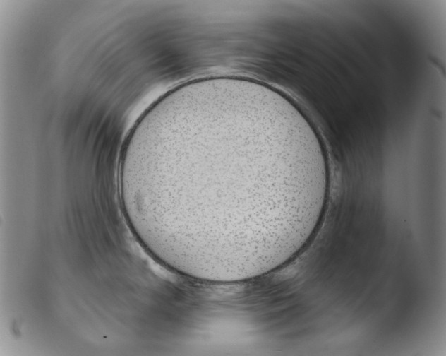 X0000103491294200810241053