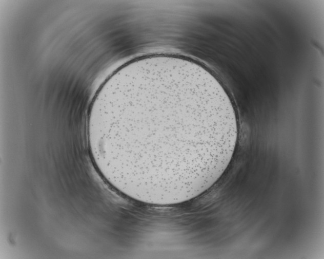 X0000103491295200810241053