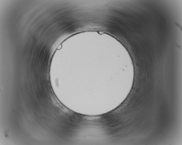X0000103491296200810241053