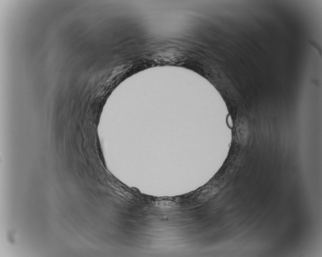 X0000103491297200810241052