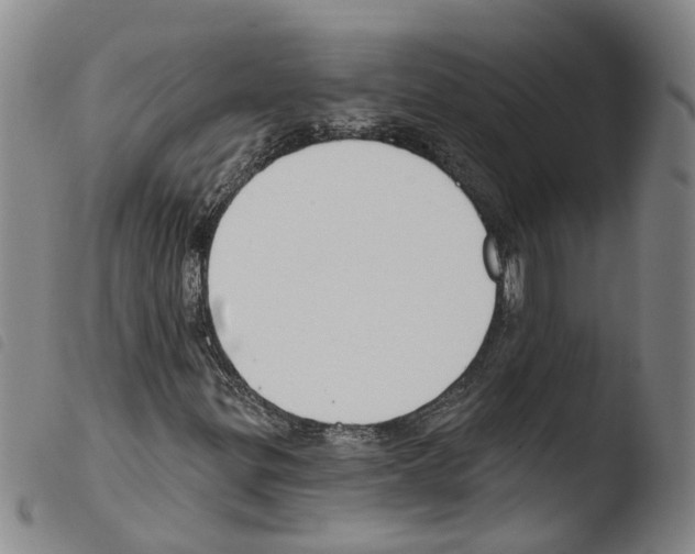 X0000103491299200810241052