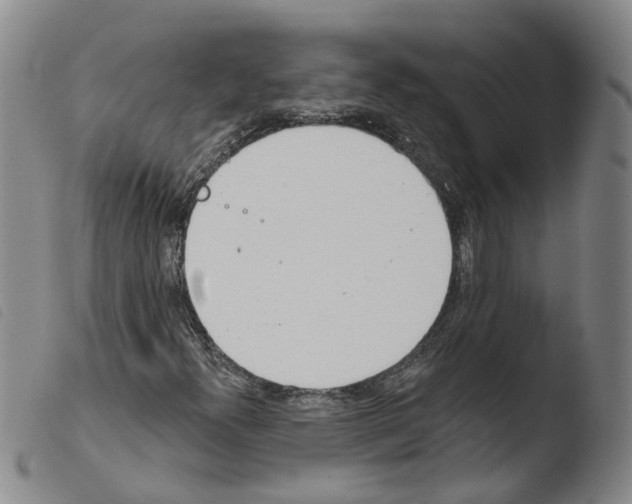 X0000103491300200810241052