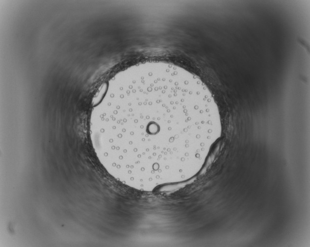 X0000103491301200810241052