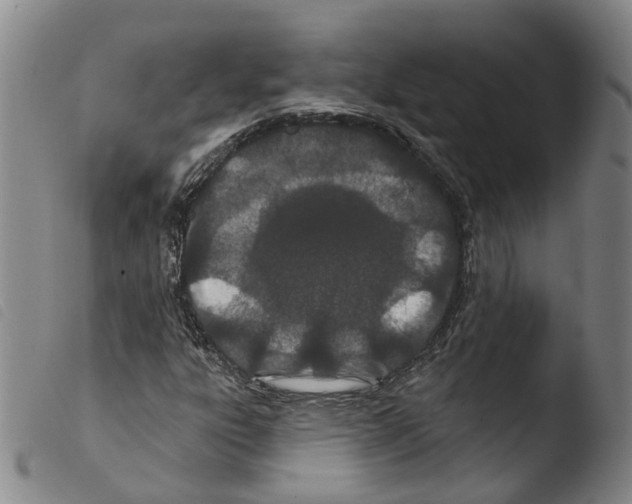 X0000103491303200810241052