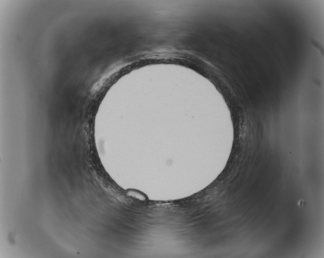X0000103491304200810241052