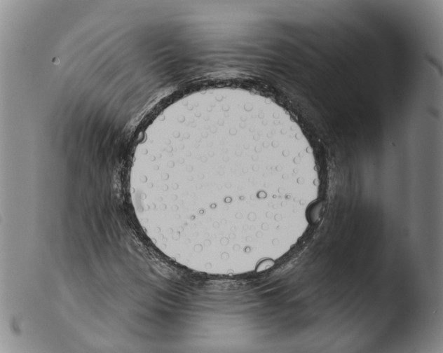 X0000103491305200810241052