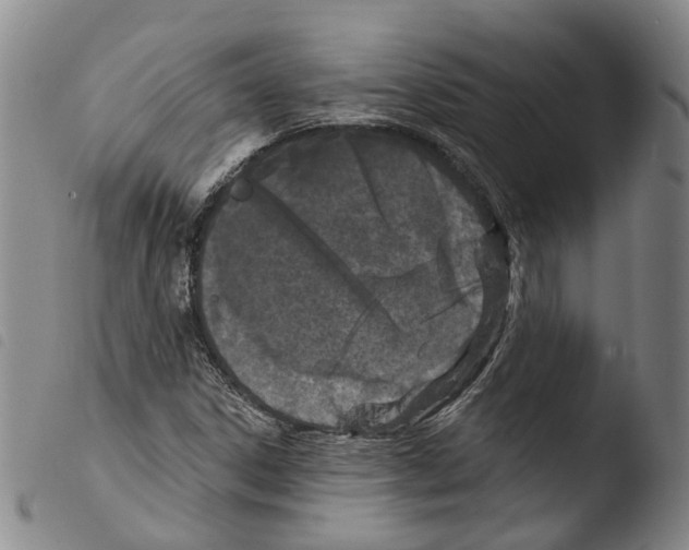X0000103491306200810241052
