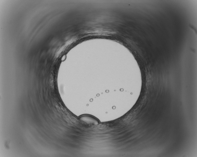 X0000103491307200810241052