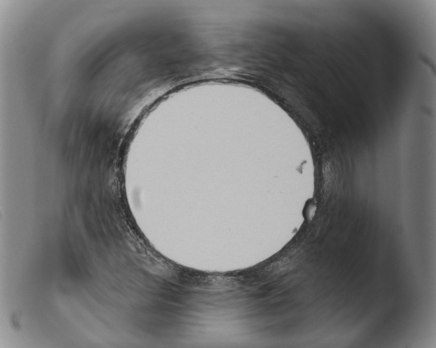 X0000103491308200810241052