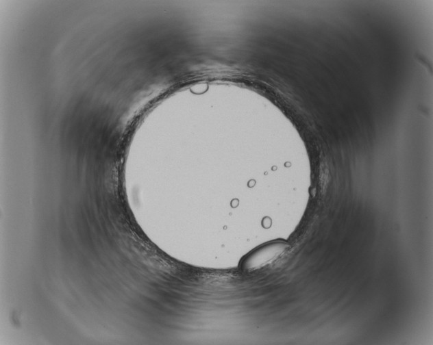 X0000103491309200810241052