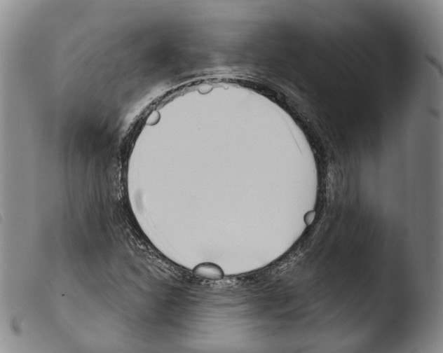 X0000103491310200810241052