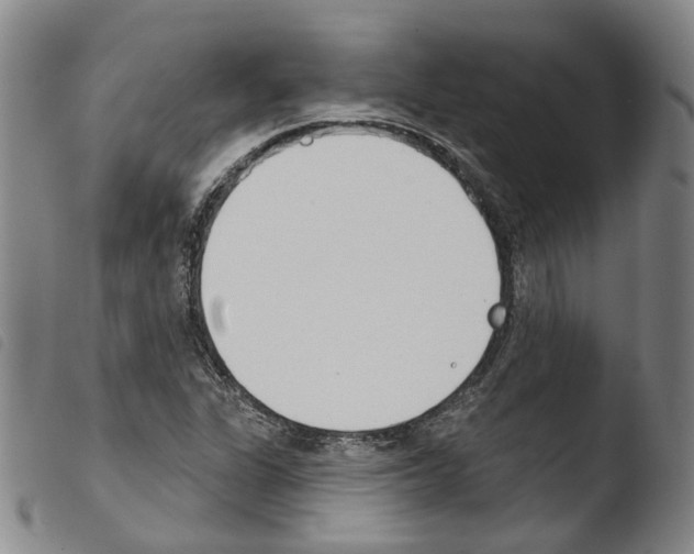 X0000103491311200810241052