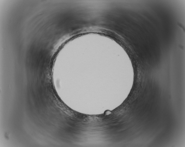 X0000103491312200810241052
