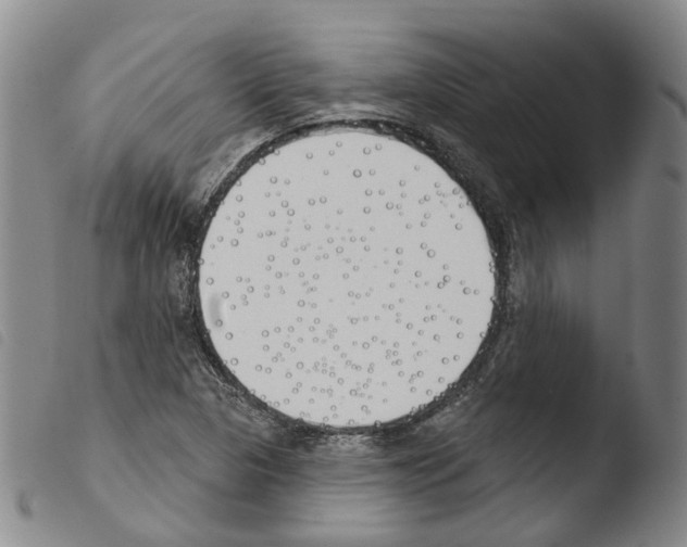 X0000103491313200810241052