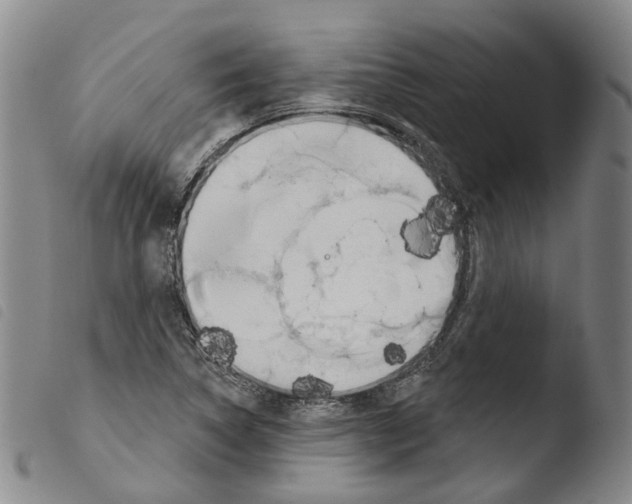 X0000103491314200810241052