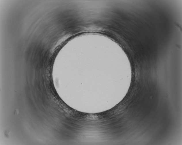 X0000103491315200810241052
