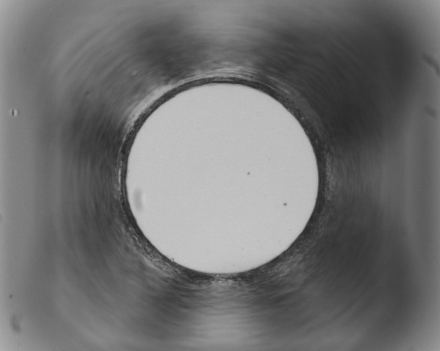 X0000103491316200810241052