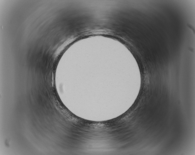 X0000103491317200810241052