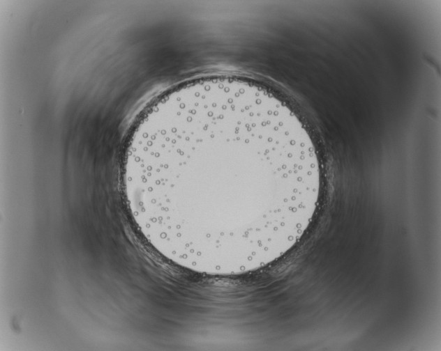 X0000103491318200810241052