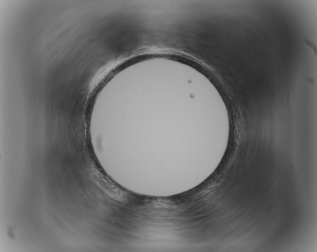 X0000103491319200810241052