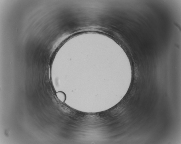X0000103491320200810241052