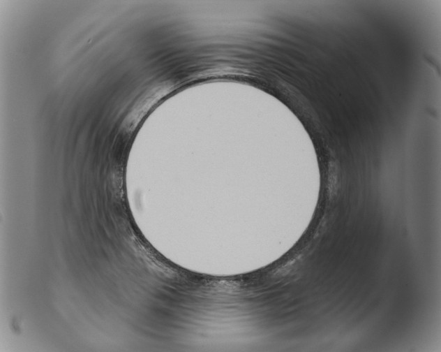 X0000103491321200810241052